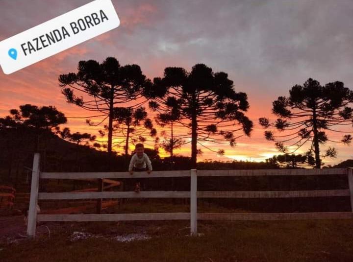 Casa E Cabana De Campo Fazenda Borba Urubici Extérieur photo
