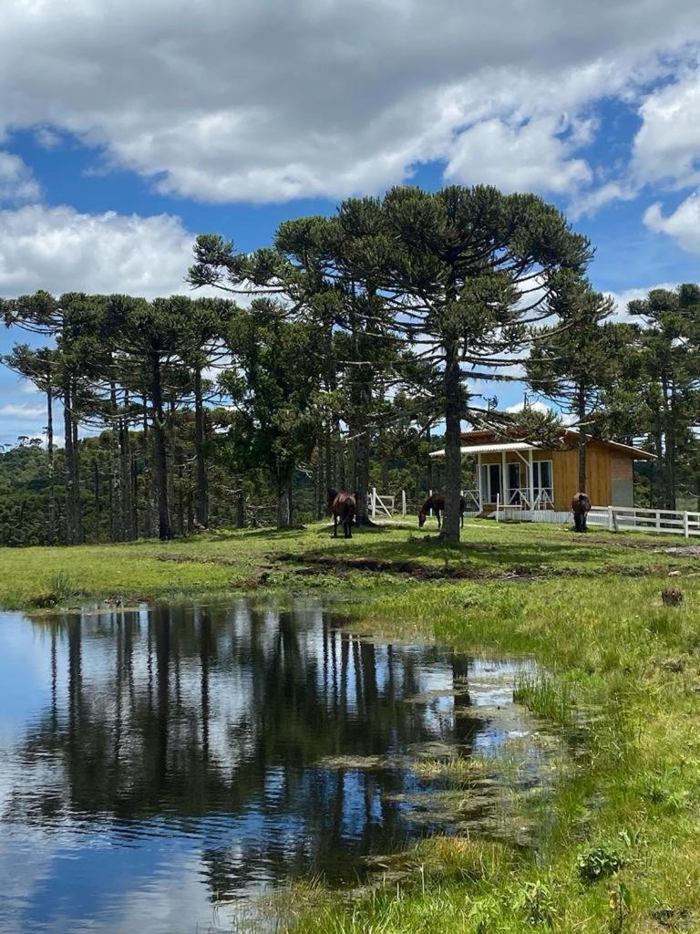 Casa E Cabana De Campo Fazenda Borba Urubici Extérieur photo